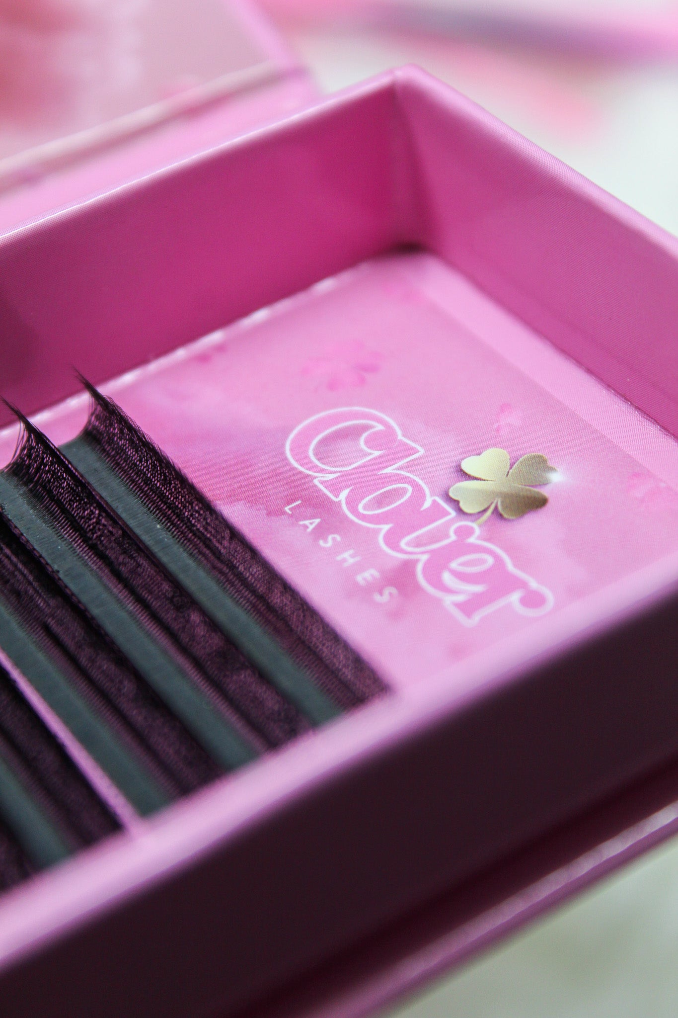 Black Clover Plus Lashes (5D) - Individual Lengths