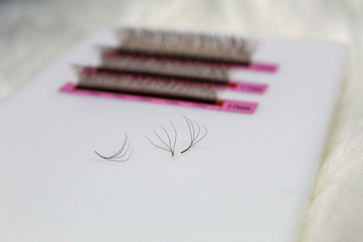Brown Clover Lashes (4D) - Mixed Trays