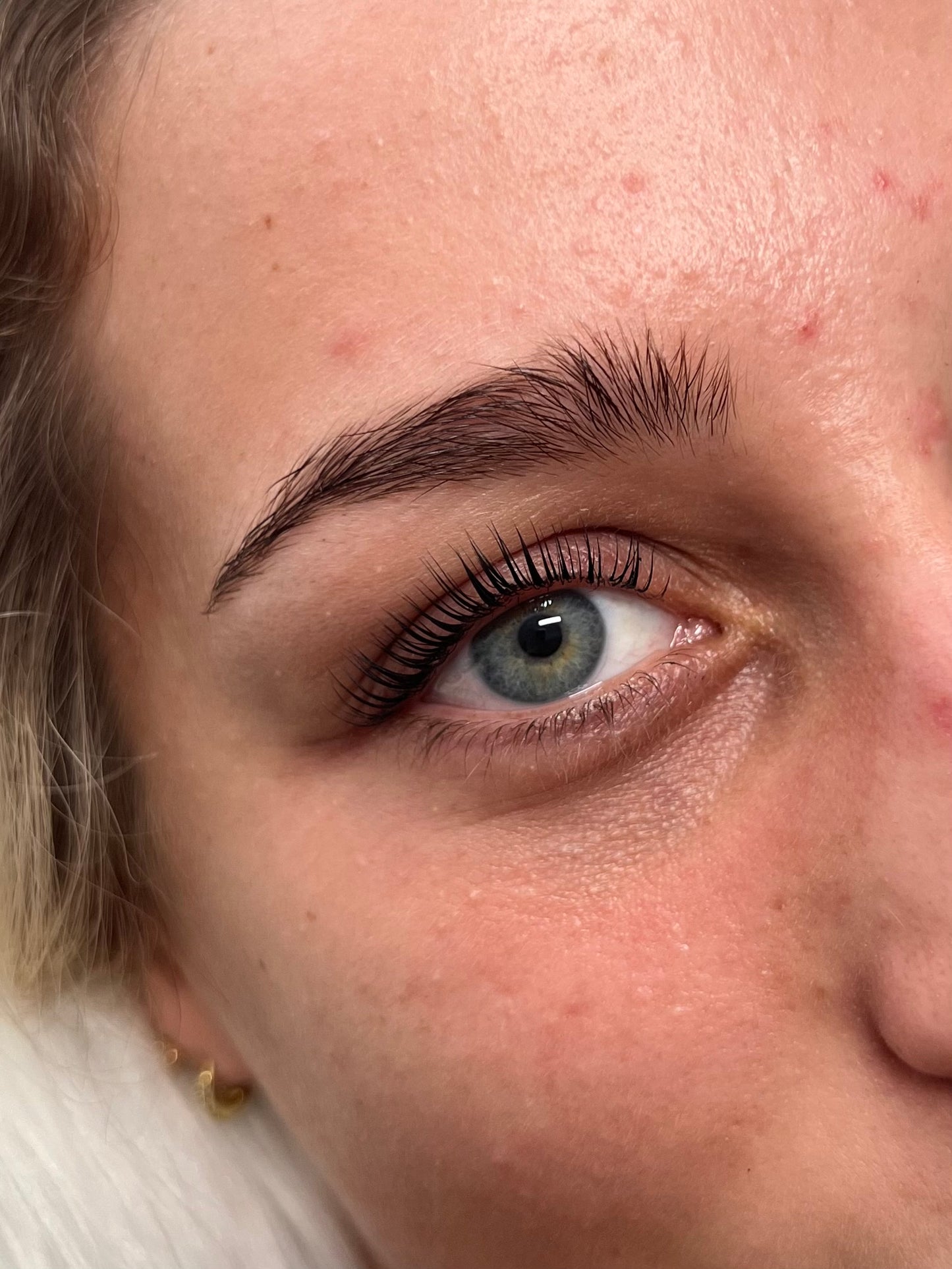 Dream Queen Shields 👑