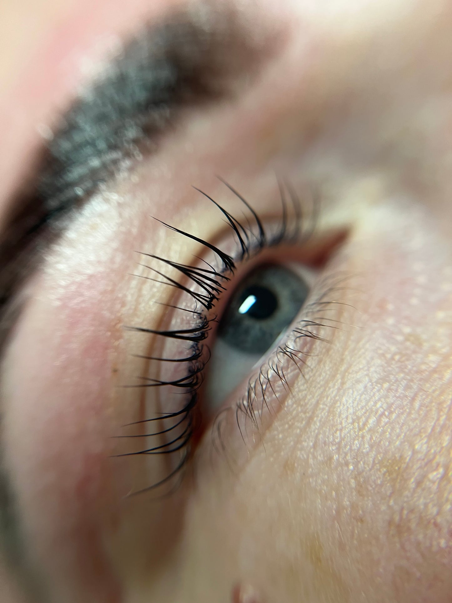 Dream Queen Shields 👑