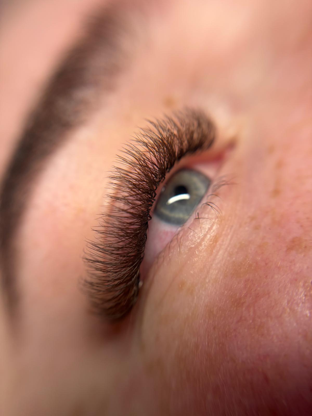 Brown Clover Lashes (4D) - Mixed Trays